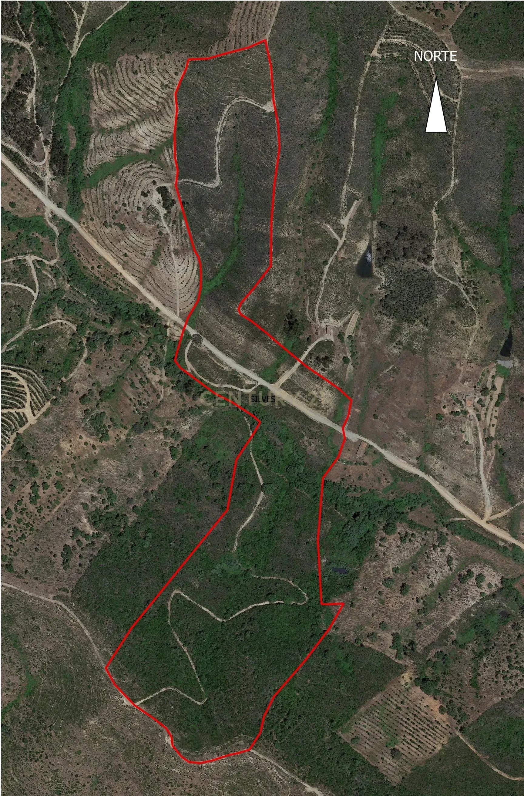 Rustic land of 11 ha in the Santa Maria area of São Marcos da Serra