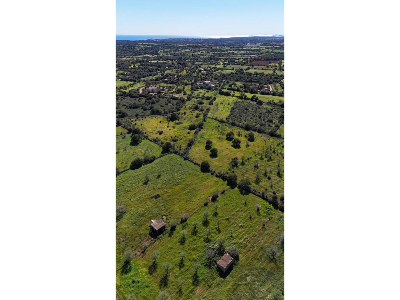 New Project in Son Sans: between S’Alqueria Blanca and Santanyí