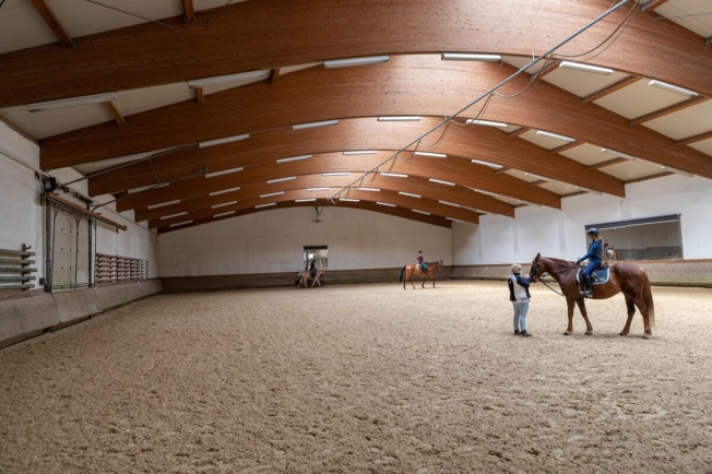 Equestrian property with apartment/single room and equestrian hall