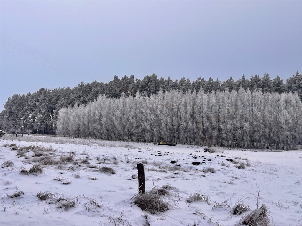 Land Plot for sale, zachodniopomorskie kołobrzeski (Kołobrzeg, Poland)
