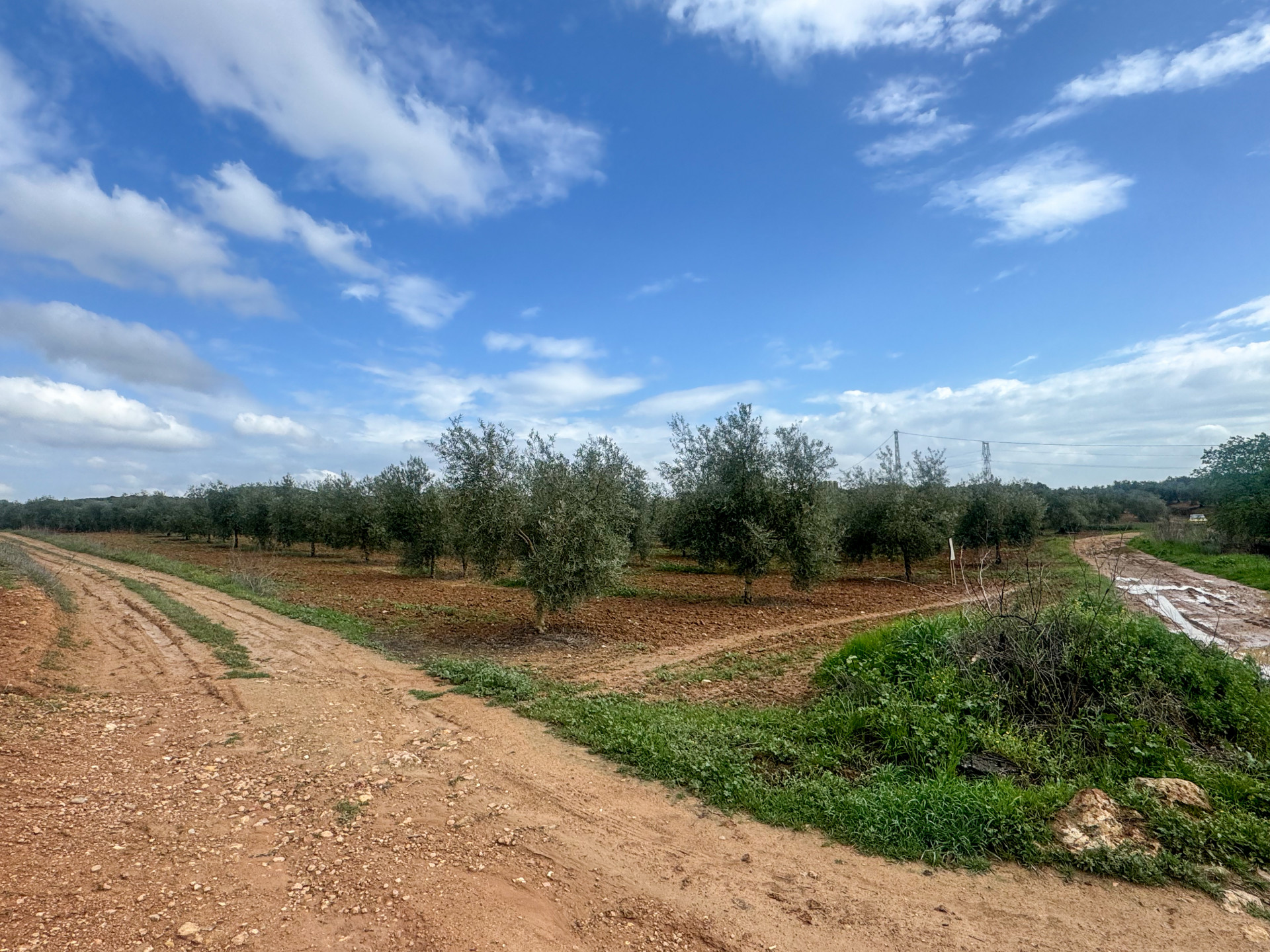 Plot for Sale in Mollina
