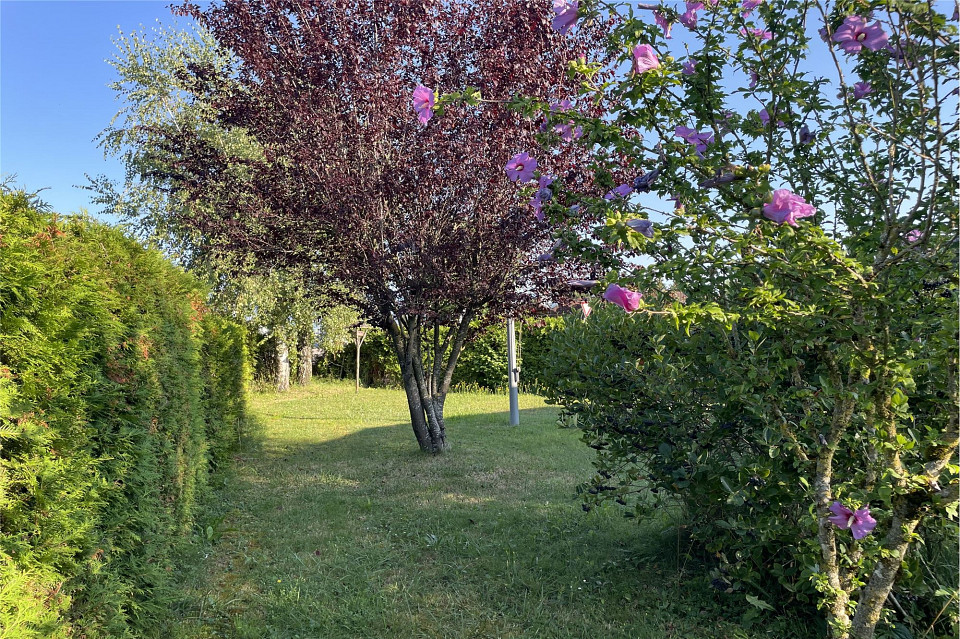 oinpüiompüoüoomoümooop