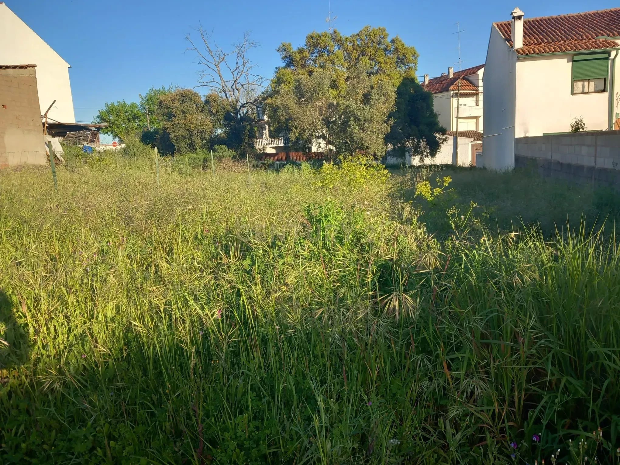 Urban Land with 413m2 for construction of House