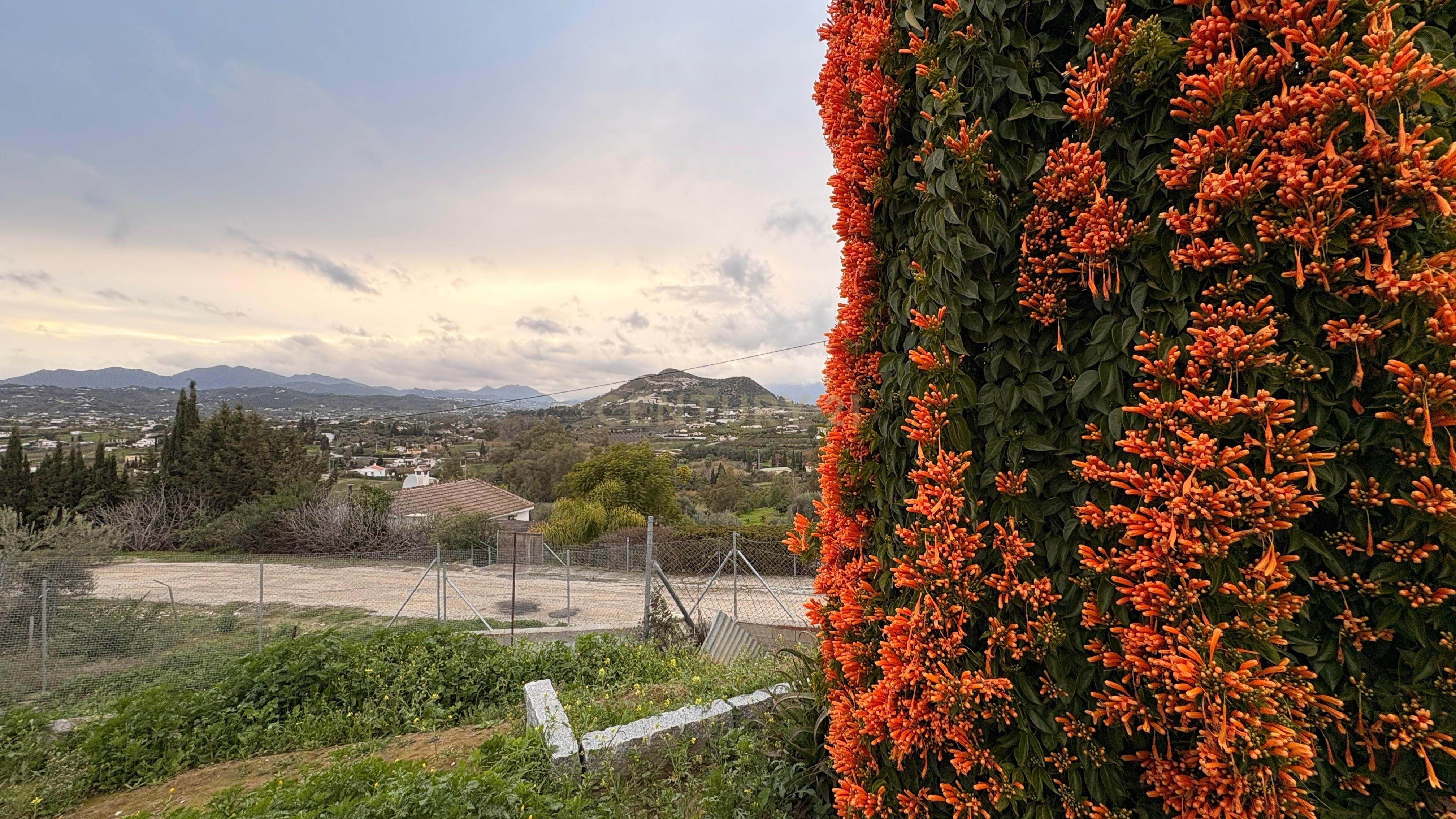 Charming Cottage in Alhaurín el Grande, Málaga