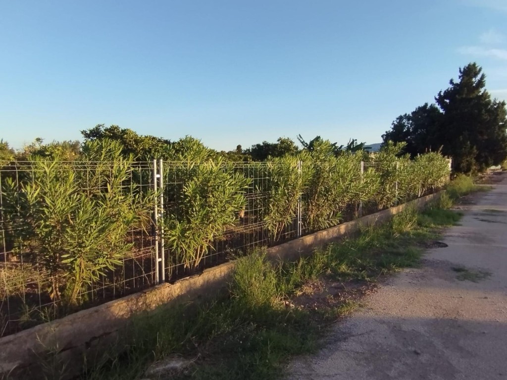 Rustic land For sell in Cullera in Valencia