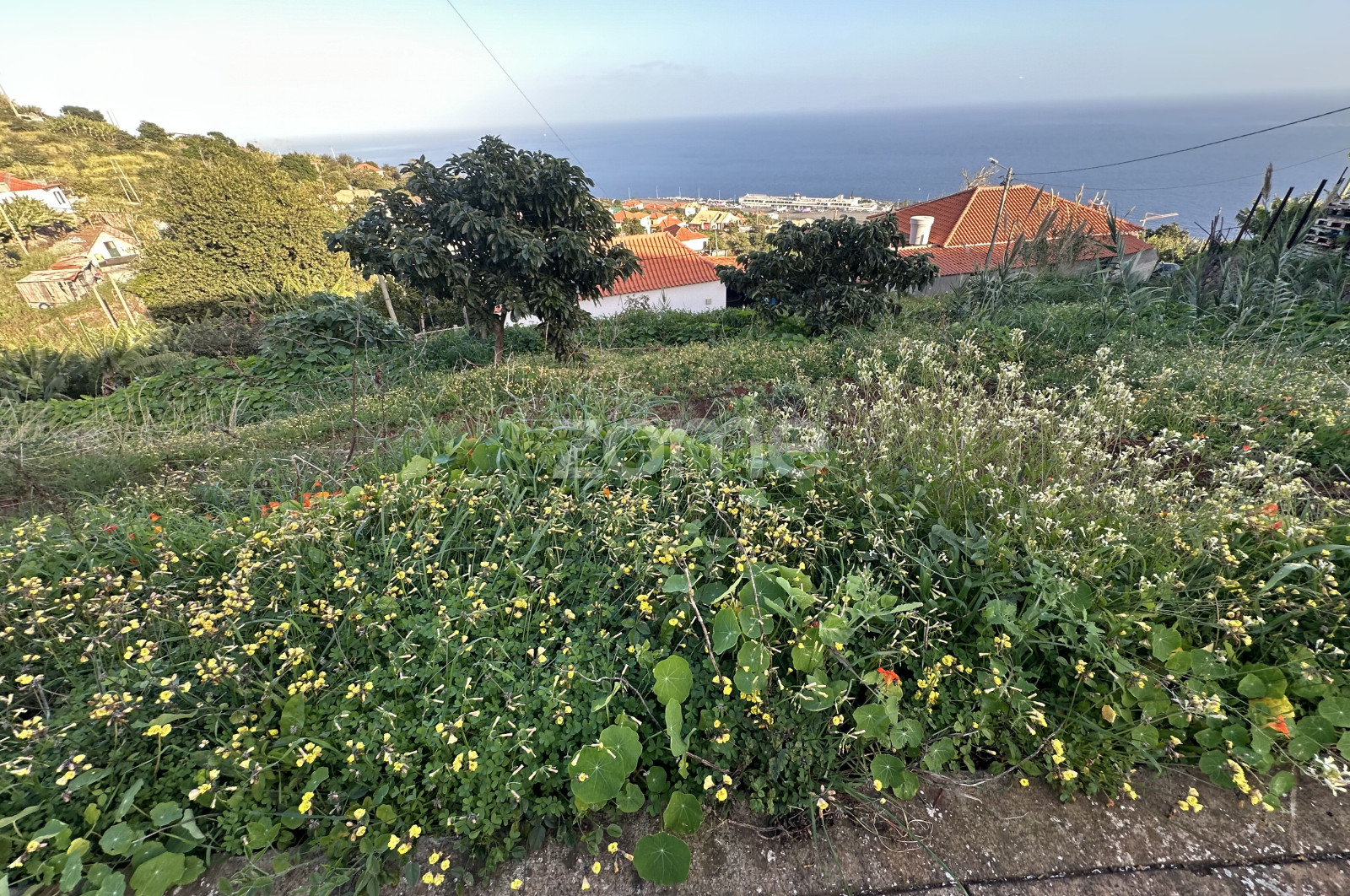 Land Plot for sale in Santa Cruz, Portugal