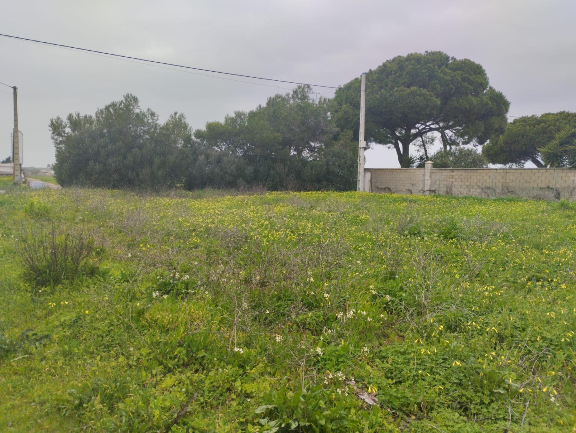 NOVO SANTI PETRI PLOT FOR SALE