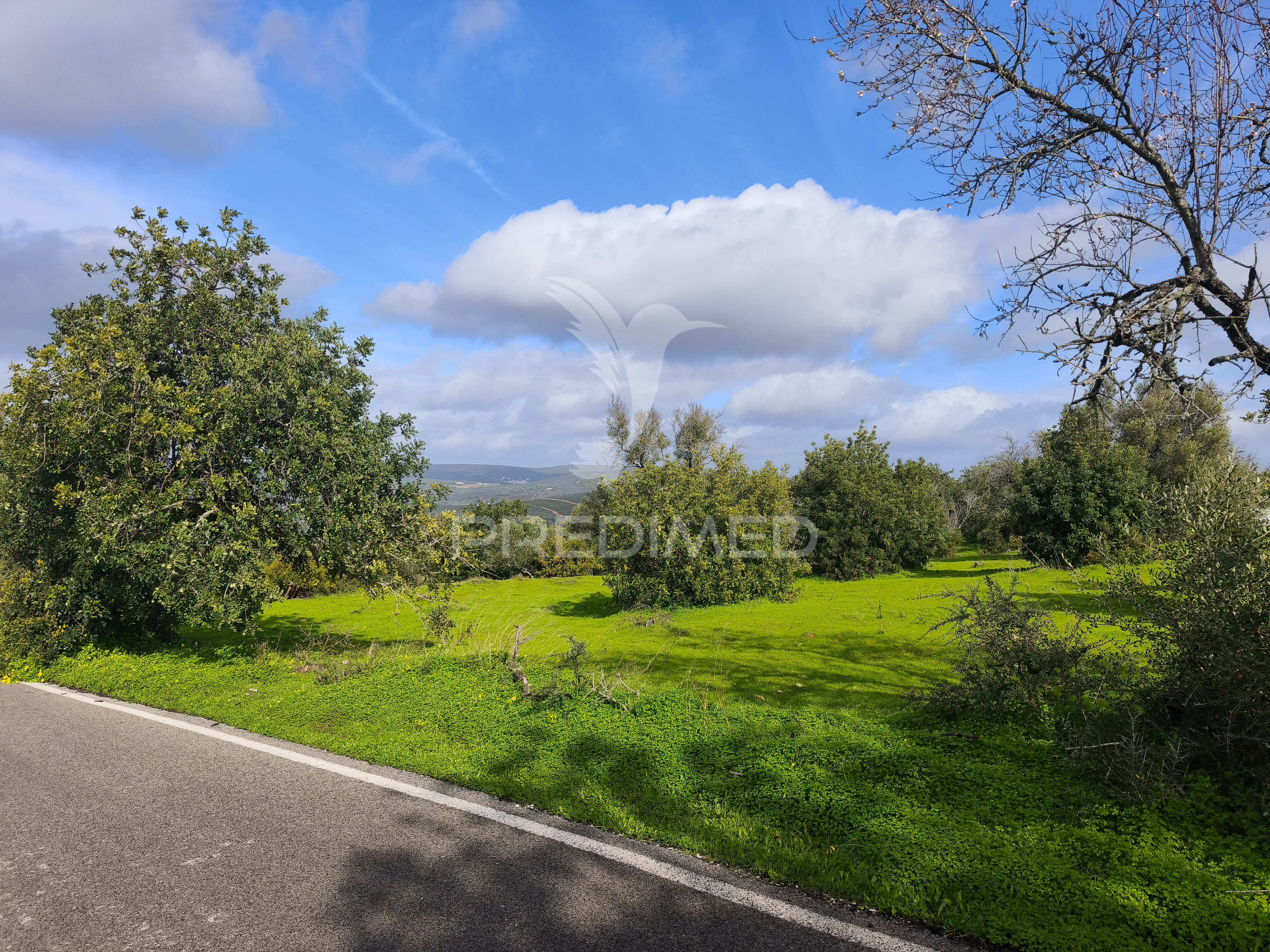 Land with 6,440 m² and potential for 12 villas