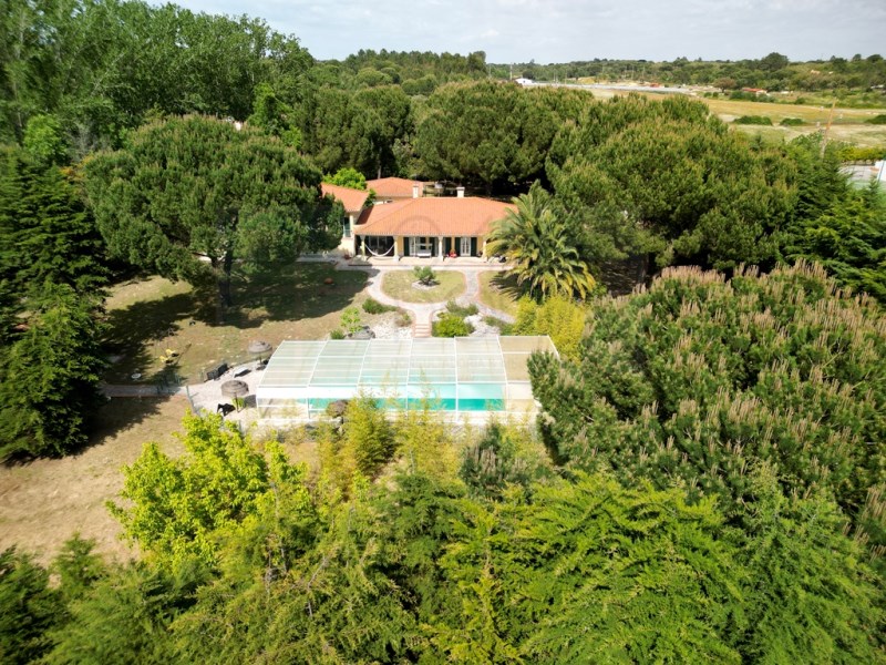 Excellent villa T4 +2 with swimming pool, in Santo Estêvão, Benavente
