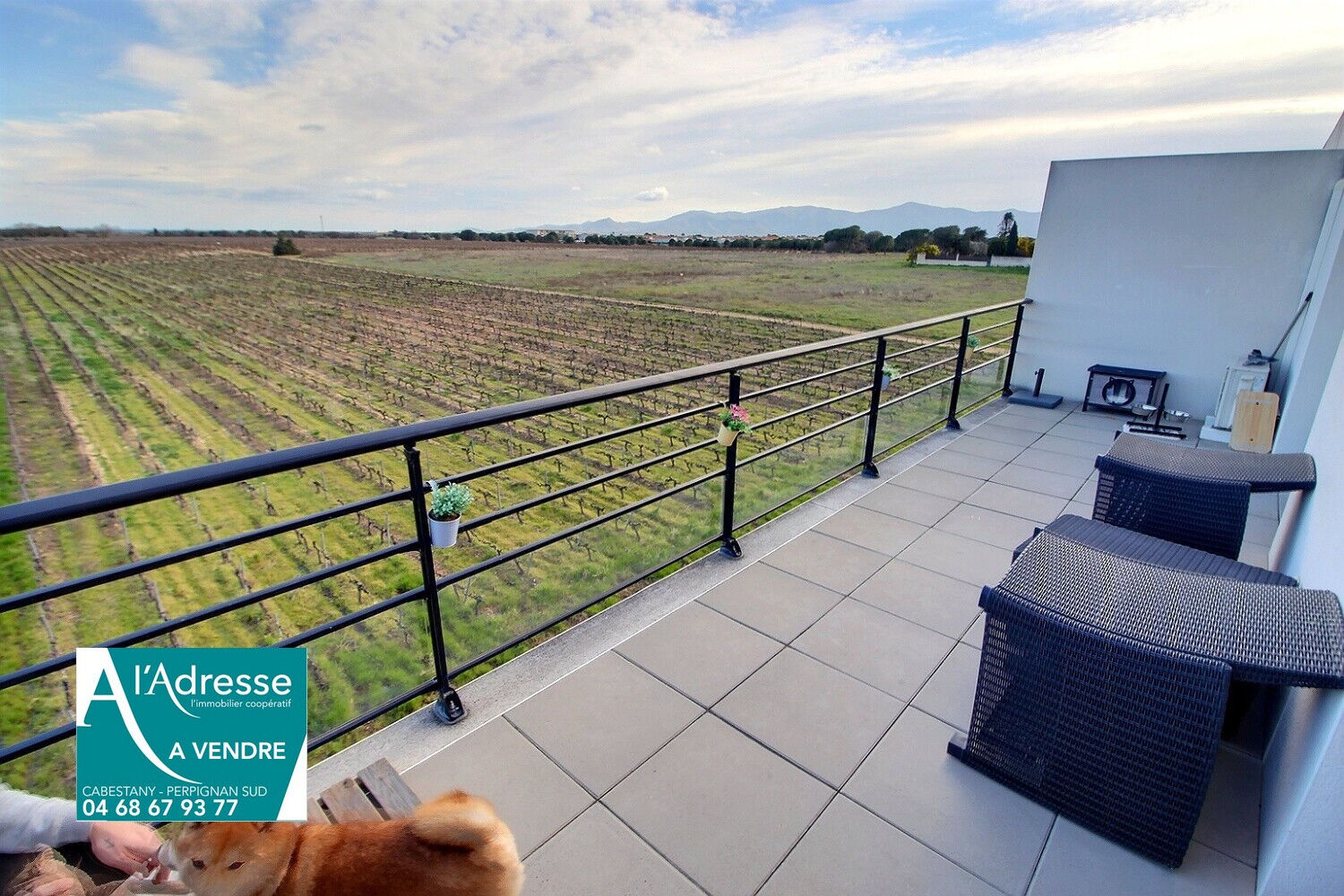 Condo for sale in Perpignan, France