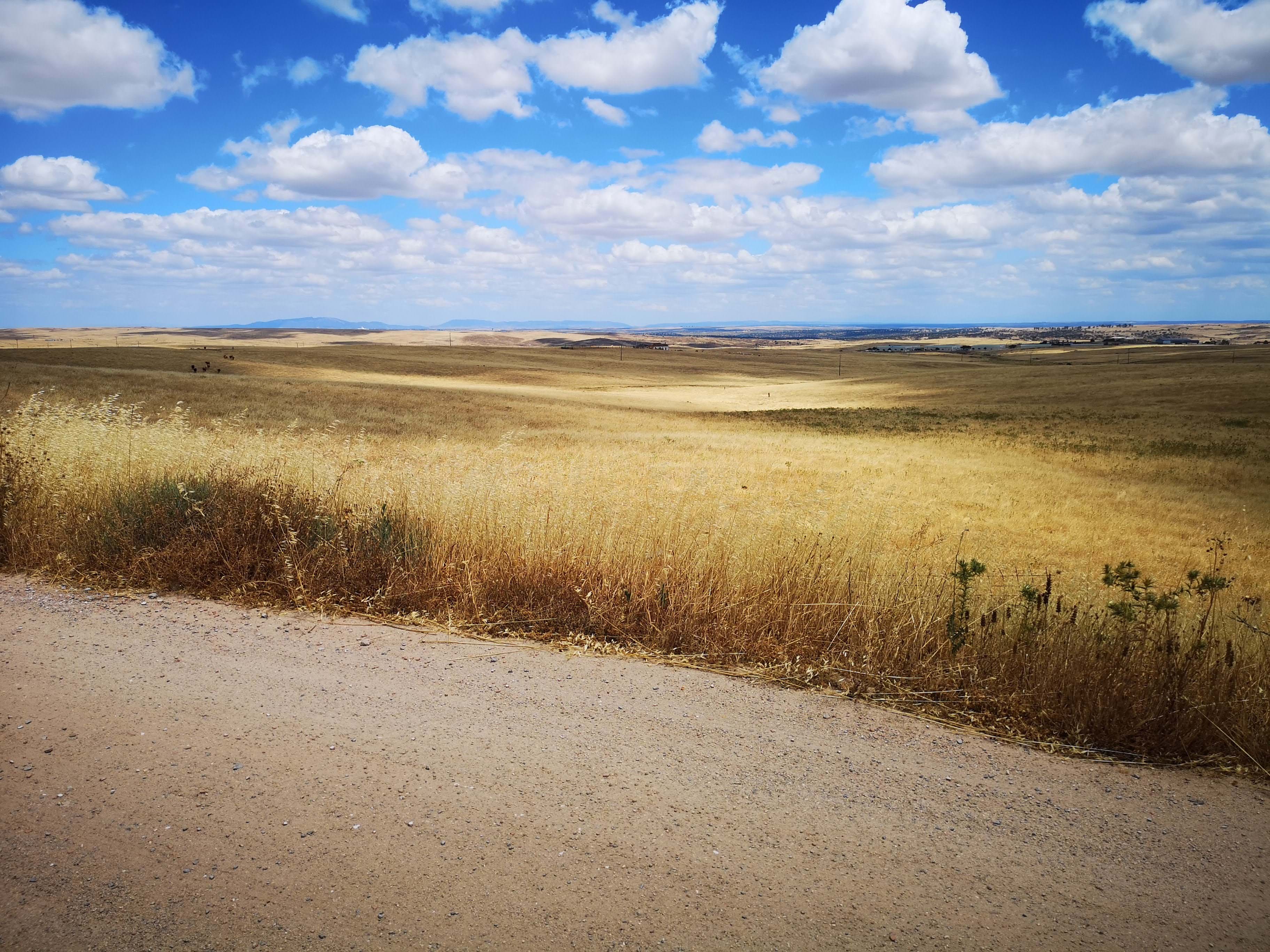 Land Plot for sale in Alcobendas, Spain