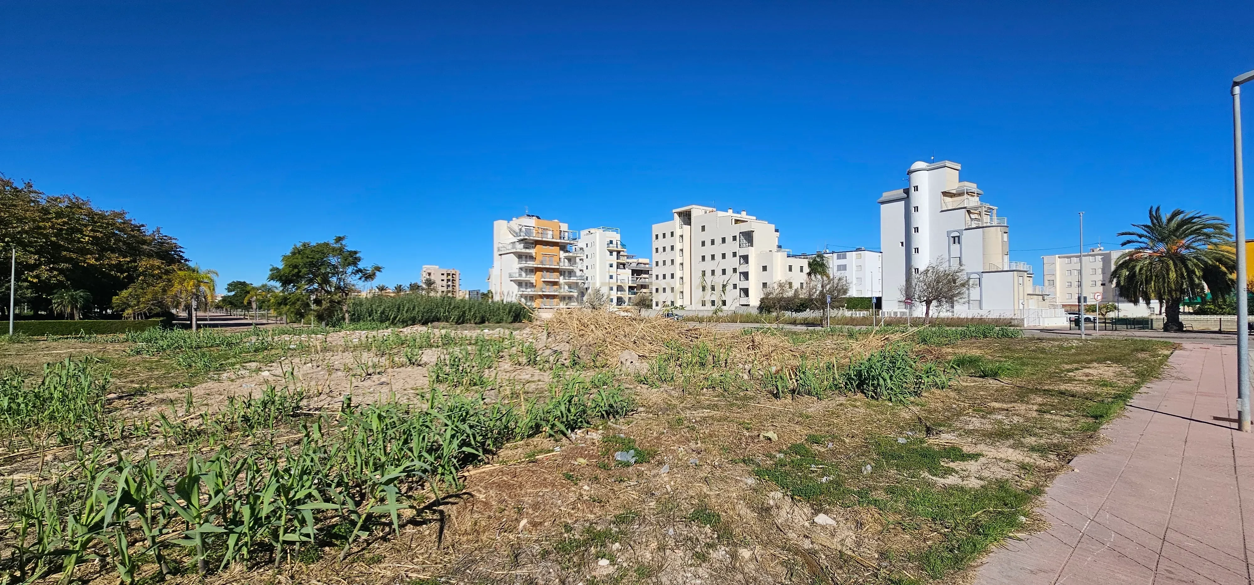 Urban plot in Piles beach to build 6 floors