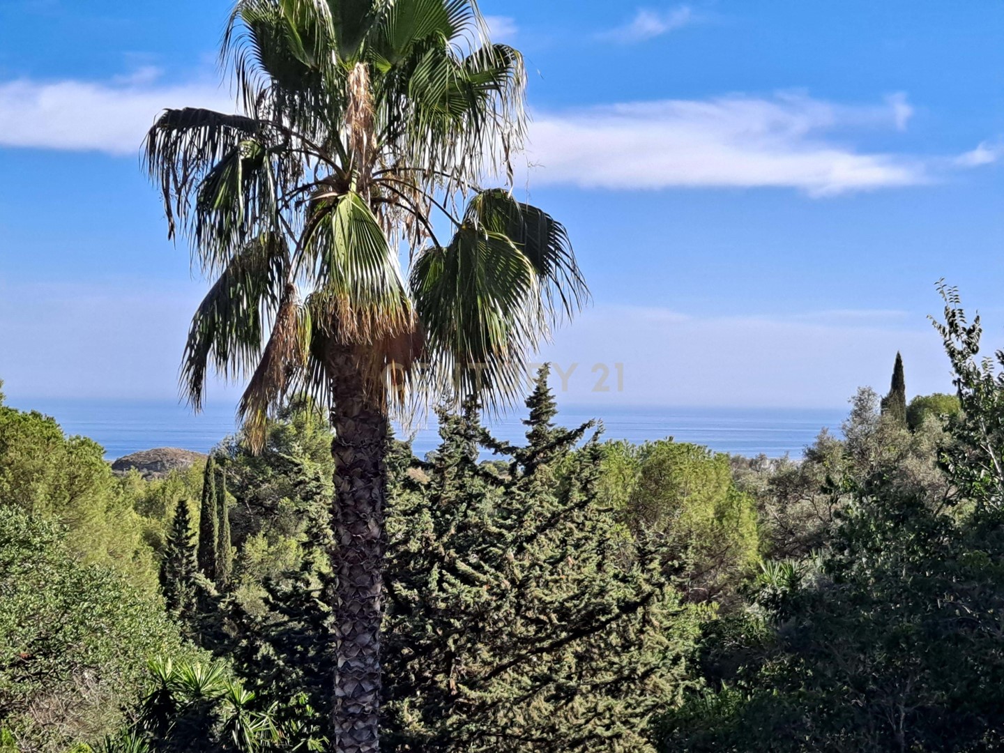 🌿 ANDALUSIAN ESTATE WITH SEA VIEWS & TOURIST LICENSE IN MIJAS 🏡