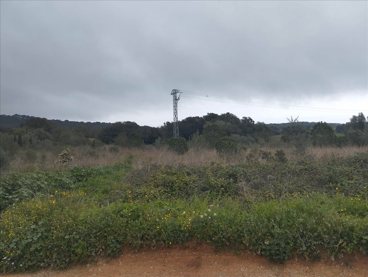 Land Plot for sale in Palafrugell, Spain