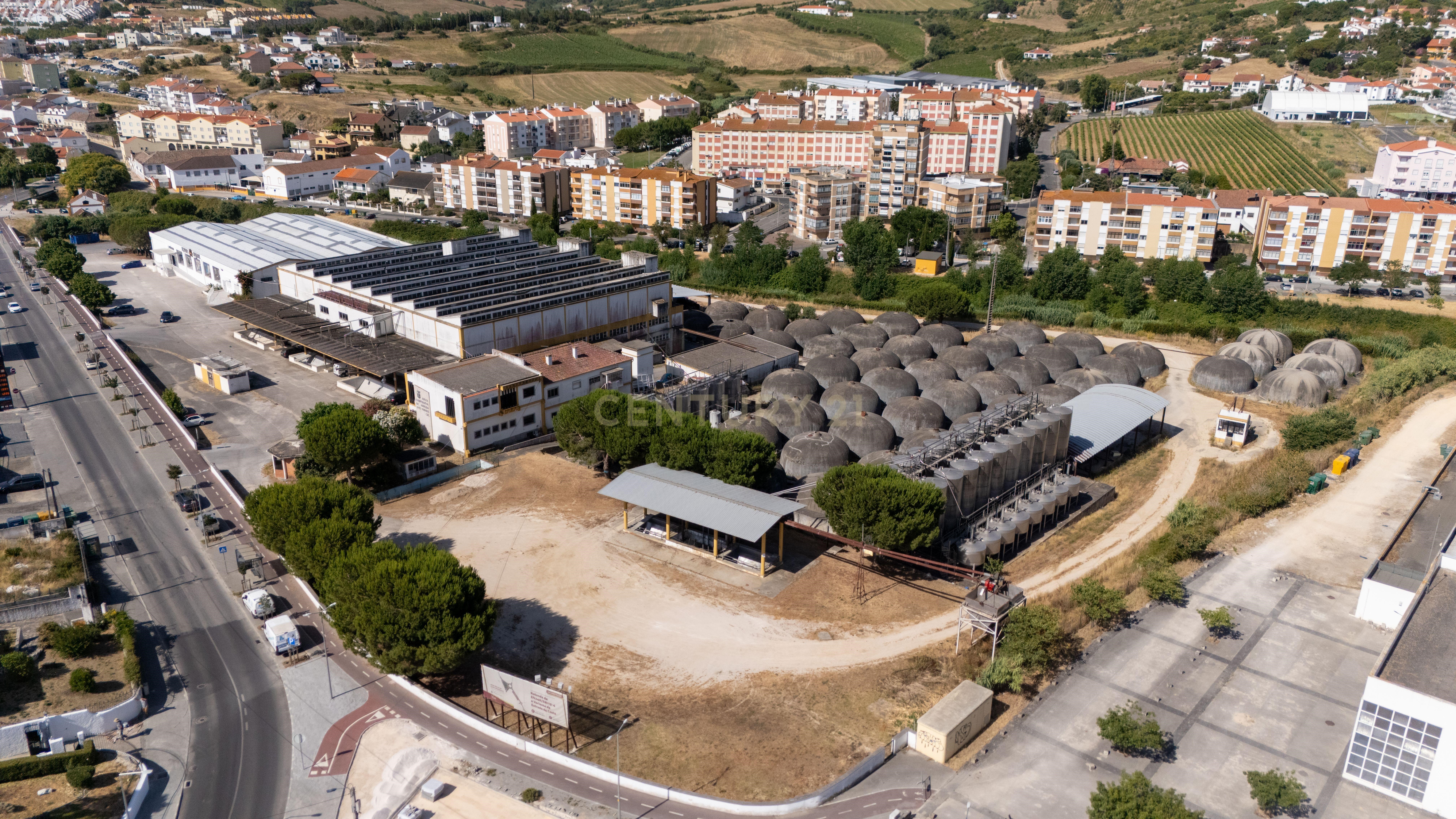 A winery with history, ready for the future in Arruda dos Vinhos
